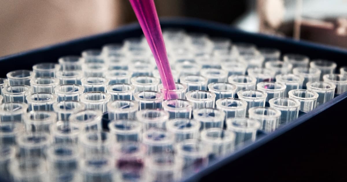 BPC-157 for Looksmaxxing — Collagen Synthesis, Skin Healing & Aesthetic Recovery