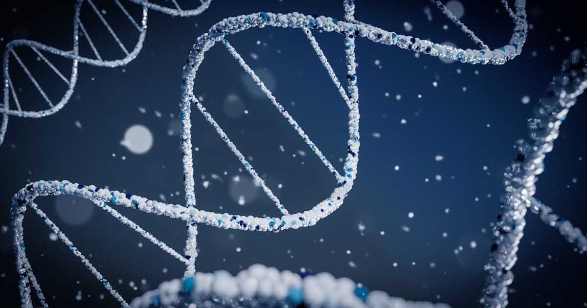 5-Amino-1MQ: The NAD+ Pathway Peptide for Fat Loss, Metabolism & Cellular Energy